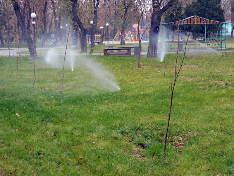P1030093