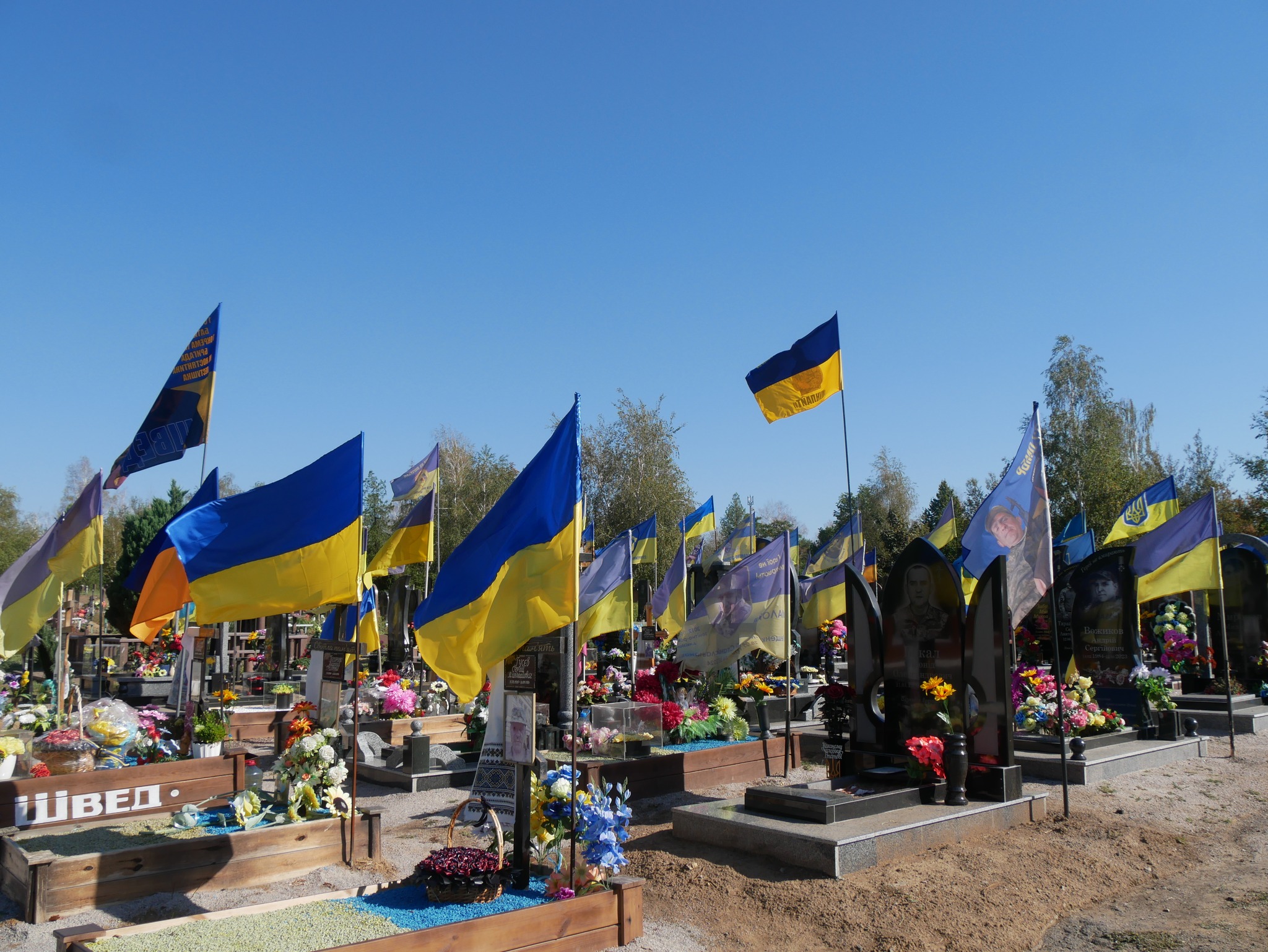 539917517 1208229374677501 1613252896627978813 n