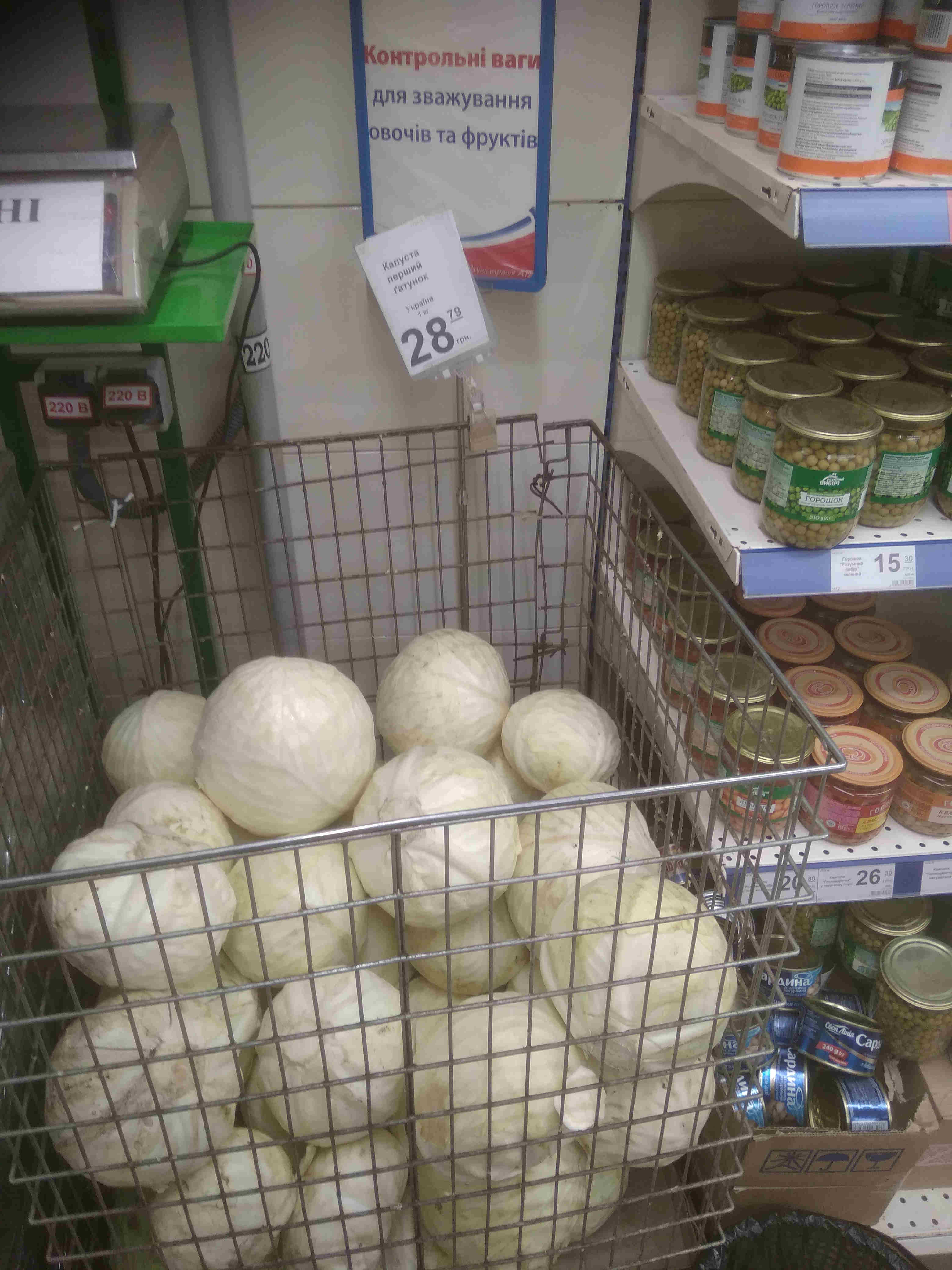 капуста