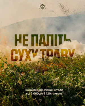 Випалюєте суху траву &ndash; платіть штраф