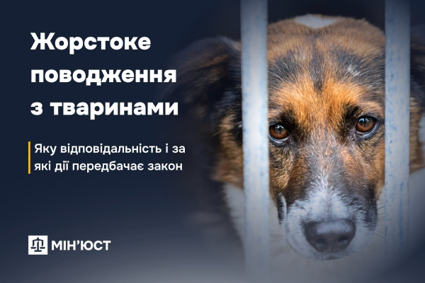 Жорстоке поводження з тваринами: яку відповідальність і за які дії передбачає закон