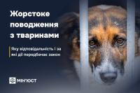 Жорстоке поводження з тваринами: яку відповідальність і за які дії передбачає закон