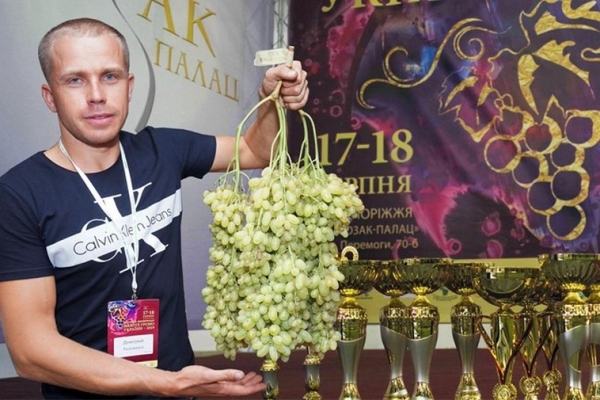 Покровчанин вырастил самую большую гроздь винограда кишмиш в Украине!
