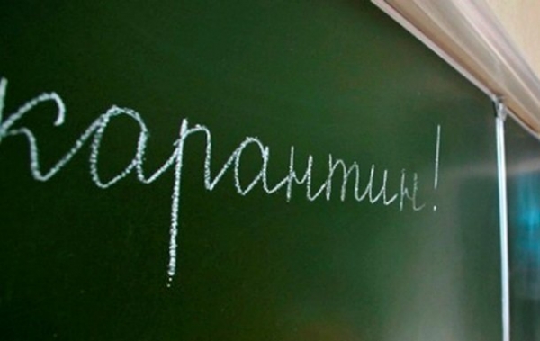 Школьников Покрова отправили на карантин!