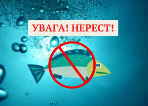Правоохоронці Нікополя нагадують громадянам про заборону на вилов риби та раків у період нерестової заборони