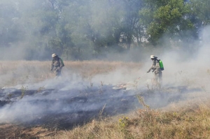 Возле Шолохово тушили загоревшуюся рядом с жилыми домами траву