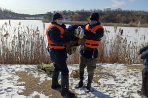 В Покрове спасали обессилевшего лебедя