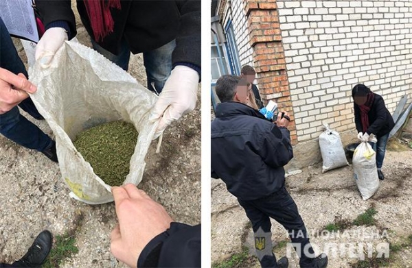 В Никопольском районе изъяли марихуаны почти на 700 000 гривен!