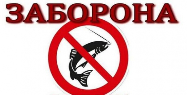 Заборона вилову водних біоресурсів на водоймах та реалізації риби та морепродуктів на ринках в межах Дніпропетровської області &nbsp;