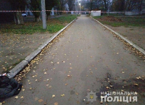 Забил до смерти из-за того, что не разминулись по дороге. Убийцей покровчанина оказался житель Днепра