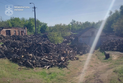 Трьох жителів Дніпропетровщини судитимуть через незаконні рубки: збитки державі становлять майже 1,3 млн грн