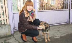 &laquo;Собачий хайп&raquo; от &laquo;Нового миста&raquo;. Что не так в мутной истории &laquo;стрельбы по собаке&raquo;. Вопросы, о которых промолчали