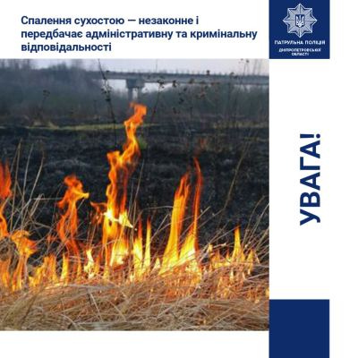 В області зафіксовано збільшення випадків підпалу сухостою