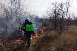 На окраине Покрова горело 4 гектара травы и кустов