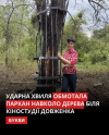 незвичний &laquo;експонат&raquo;