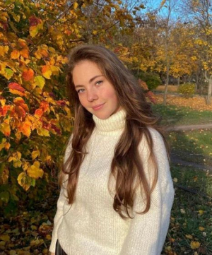 Интеллектуальные достижения школьников