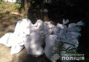 Покровчанину грозит 3 года за добычу песка с берега реки