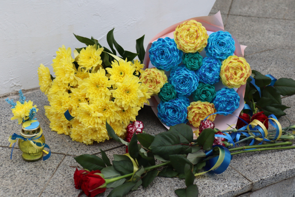 ДОБРОВОЛЬЦІ &mdash; ВОЇНИ СВІТЛА!