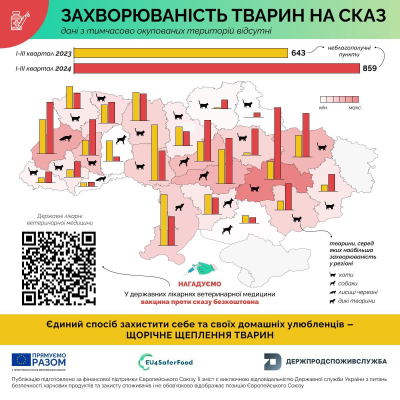 На Дніпропетровщині фіксують рекордну кількість випадків сказу серед котів