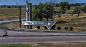 Депутаты горсовета поддержали присоединение Шолохово к Покрову